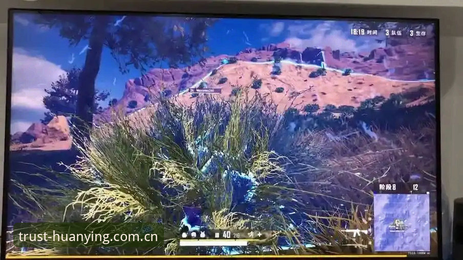 幻影体育iOS版安卓版 揭秘幻影体育iOS版安卓版背后的真相:多终端适配与赛事数据的无缝体验